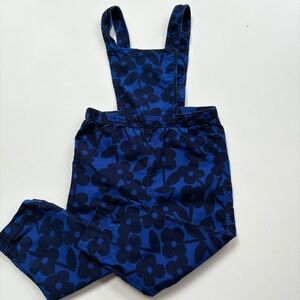 Hanna Andersson Blue Floral Overalls